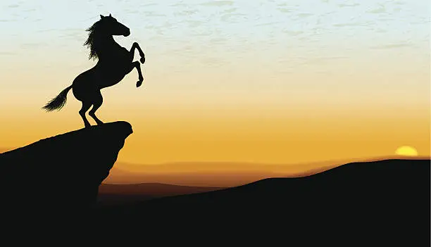 Vector illustration of Wild Stallion at Dawn or Dusk Background