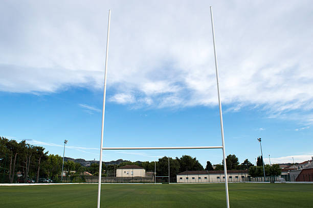 istock Rugby goal posts with green field 481377930