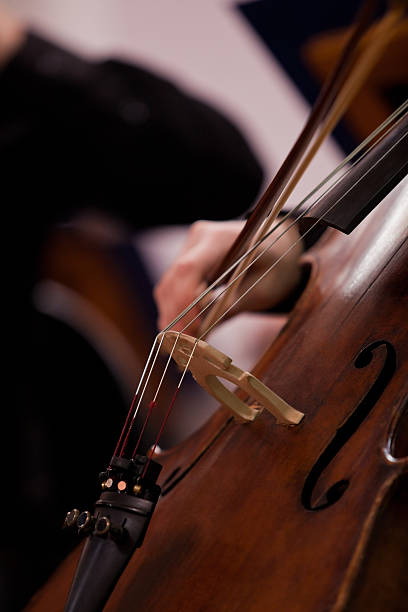 istock Fragment of the cello 481380638