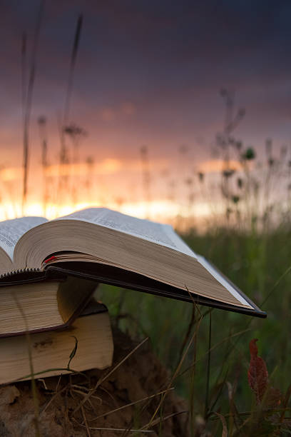istock Opened hardback book with fanned pages on blurred nature background 481380652