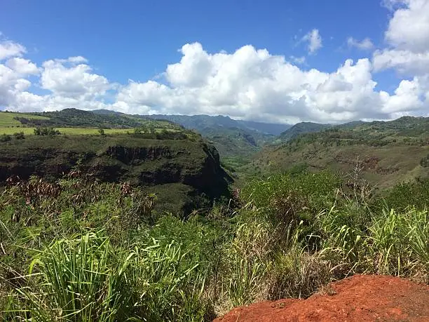 Vista in Kauai, Hawaii