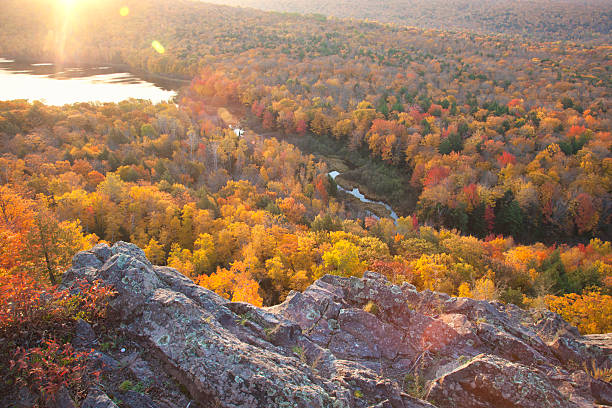 istock Colorful autumn trees in early morning light 481380770