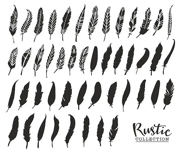 Vector illustration of Hand drawn vintage feathers. Rustic decorative vector
