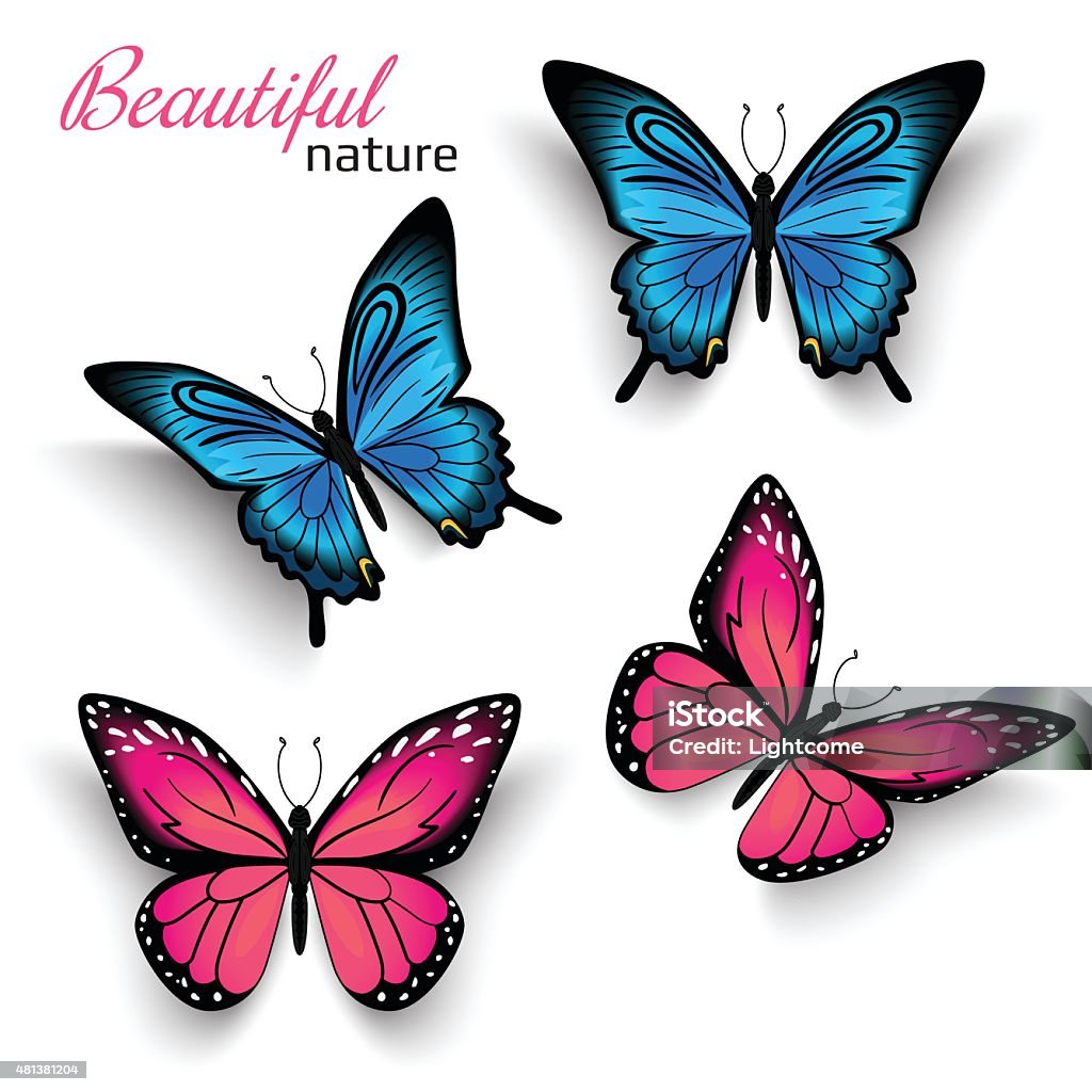 Beautiful Butterflies Stock Illustration - Download Image Now ...