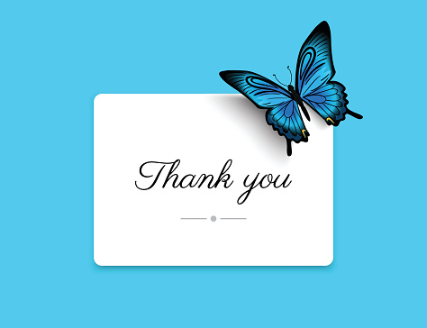 Thank you blank card with beautiful blue butterfly. Text outlined