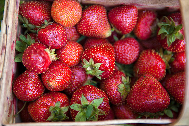 istock Fresh strawberries in a basket, 481384466