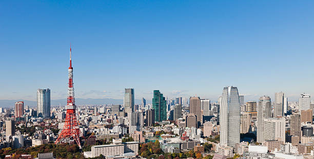 istock Tokyo Skyline in Autumn 481384994