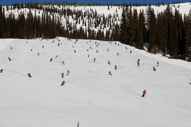 Large group of people skiing down a mountain. stock photo