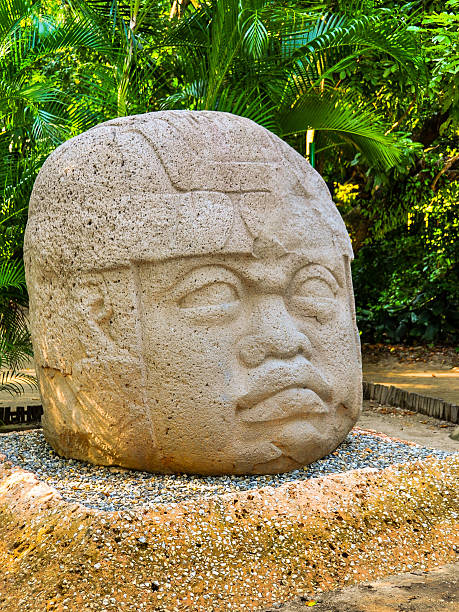 24-Ton Olmec Colossal Head - Villahermosa, Mexico Thought to have been carved in 700BC, the colossal stone head, along with three others are the most famous monumental artifact in La Venta (now in Villahermosa), Mexico. olmec head stock pictures, royalty-free photos & images