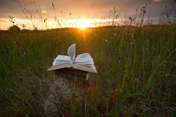 istock Opened hardback book with fanned pages on blurred nature background 481385606