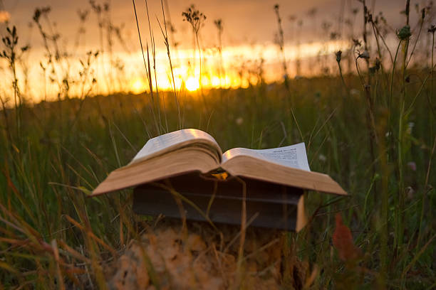 istock Opened hardback book with fanned pages on blurred nature background 481385622