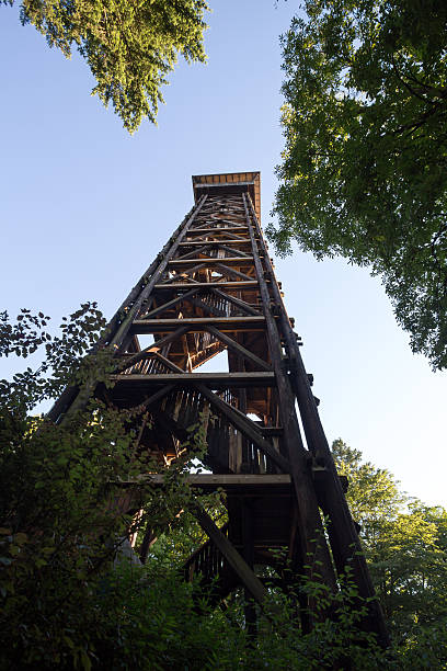 istock goethe tower frankfurt germany 481386170