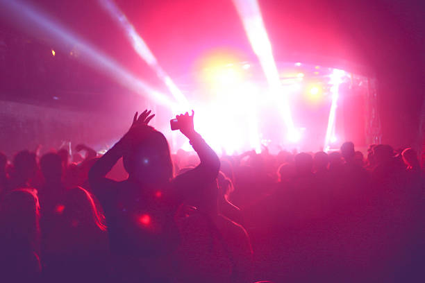 istock Music festival concert crowd 481388022