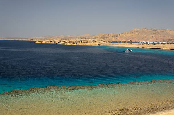 istock Coast in Egypt. Red Sea. 481388158
