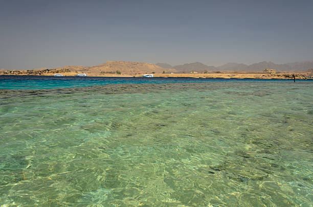 istock Coast in Egypt. Red Sea 481388160