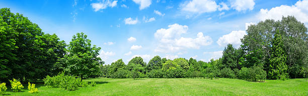 56 mpix 夏のパノラマに広がる風景 - 草原 ストックフォトと画像