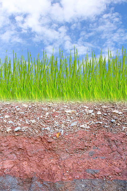 istock Cross section of green grass and underground soil layers 481389037