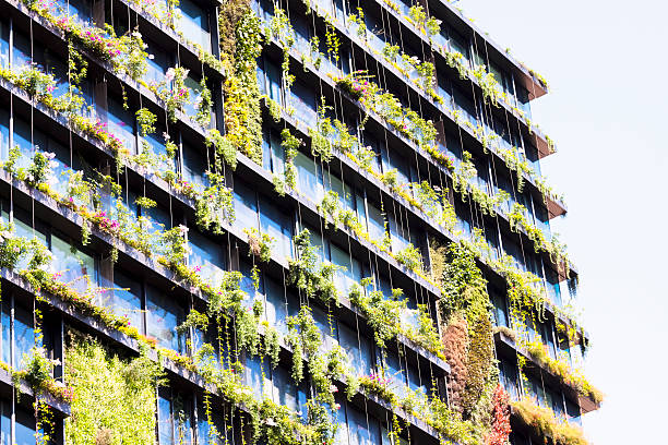 istock Vertical garden on apartment block 481389523