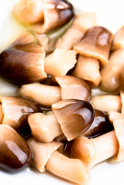 istock straw mushrooms - Volvariella volvacea 481392607