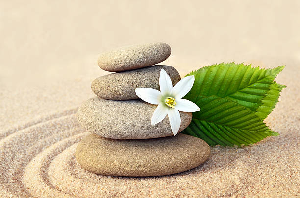 istock Spa concept. Flower and stones 481392944
