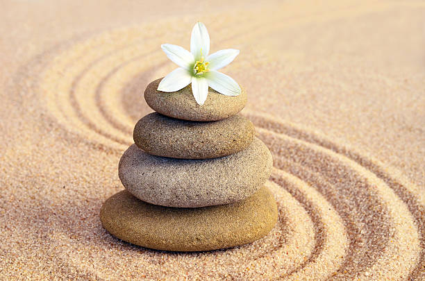 istock Spa concept. Flower and stones 481392962