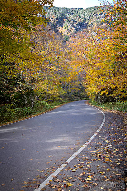 istock Colorful Autumn road 481393496