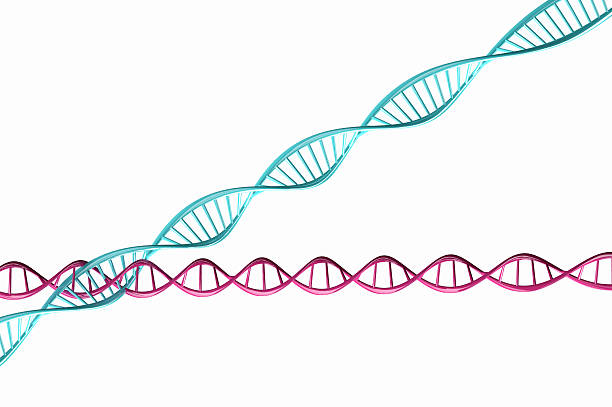 istock 3d render ,Model of twisted DNA chain isolated. 481393529