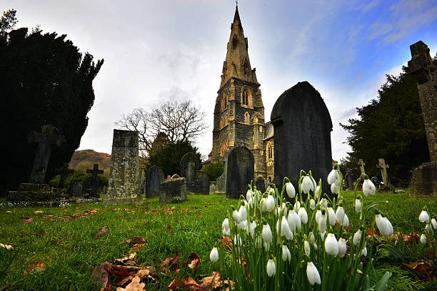 istock Snowdrops in St Marys Churchyard 481394340