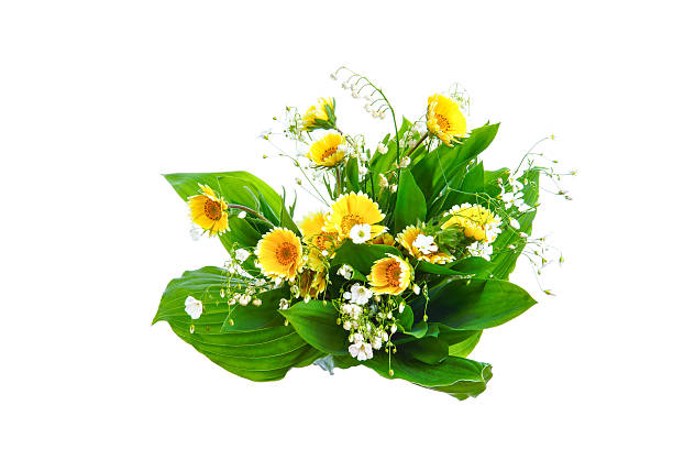 istock Summer flowers isolated on white 481394946