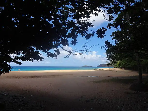View of Secret Beach, hidden from under trees. 