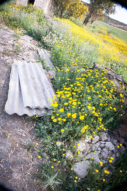 amianto inquinamento natura - eternit foto e immagini stock