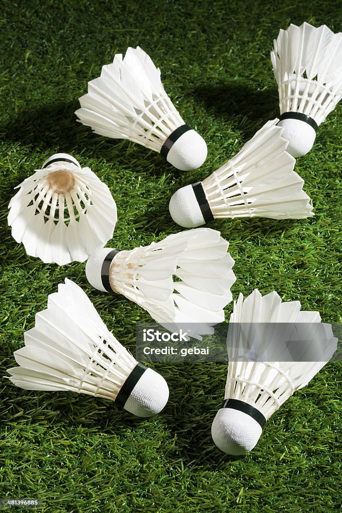 Badminton on the grass Badminton on the grass. Activity Stock Photo