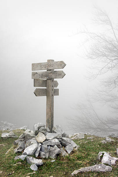 istock wooden signpost in forest 481398147