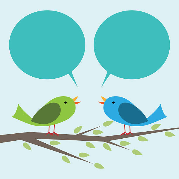 ilustrações de stock, clip art, desenhos animados e ícones de dois pássaros de comunicação - gossip couple love concepts