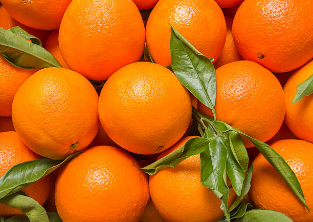 istock Tasty valencian oranges freshly collected 481399915