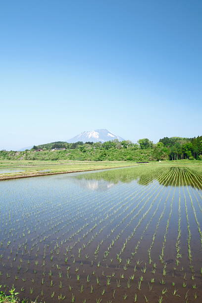 istock Mt.Iwate and pastoral landscape 481402147