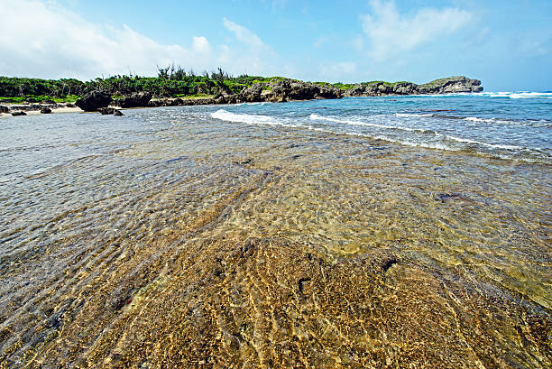 istock Shining coast, Okinawa, Japan 481404092