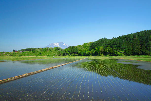 istock Mt.Iwate and pastoral landscape 481404171