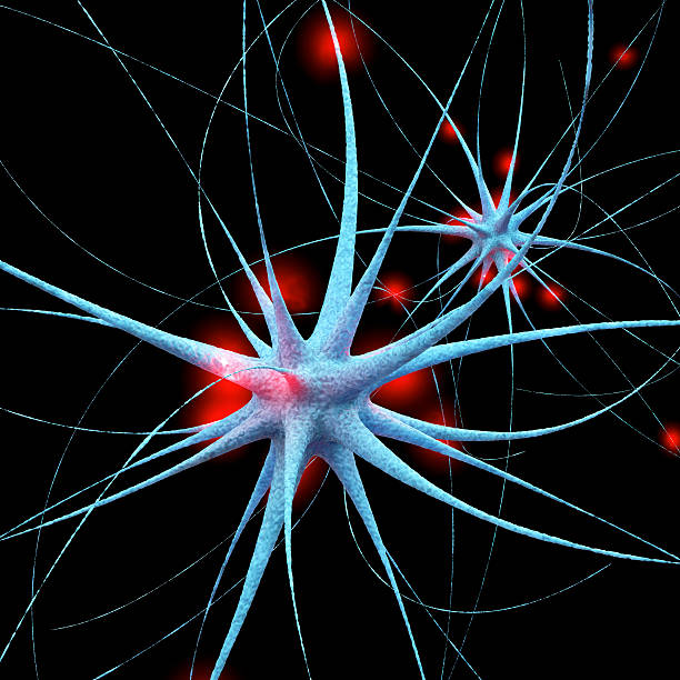 신경 세포 - 3d 렌더링됨 일러스트 - elektronl 뉴스 사진 이미지