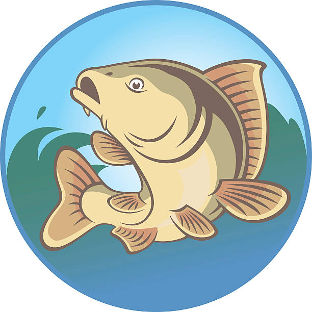 карп рыба - predatory fish stock illustrations