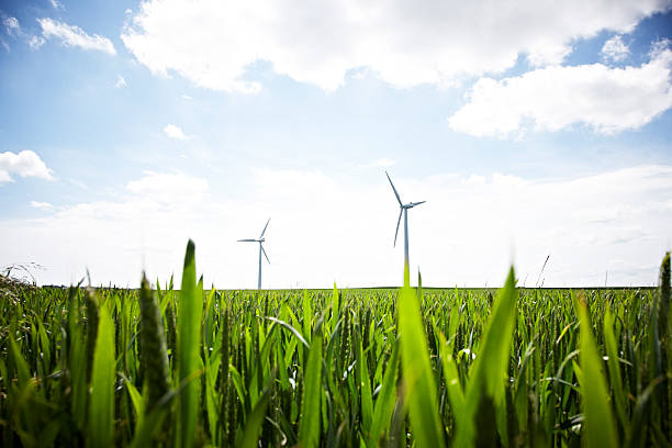 Windmills in the Field Windmills in the Field carbon neutrality photos stock pictures, royalty-free photos & images