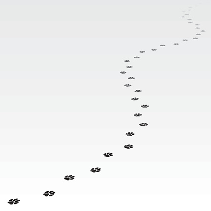 Trace of dog leading far away. Editable Vector EPS8.Please see similar images in my portfolio.
