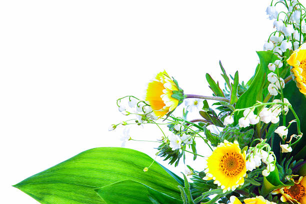 istock Bunch of summer flowers isolated on white 481412784