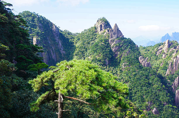 istock The scenery of Mount Sanqingshan 481413097