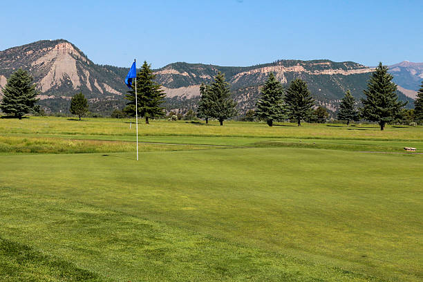 istock Blue flag on a golf course in front of mountains 481413694