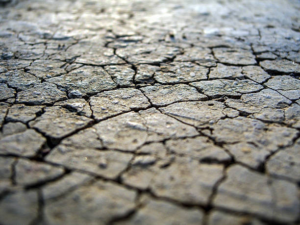 a escassez - drought scarcity desert dry - fotografias e filmes do acervo