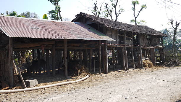 istock Tharu village in Chitwan 481414767
