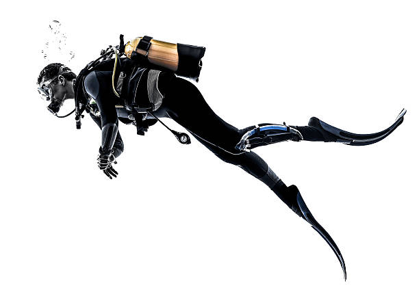 istock man scuba diver diving silhouette isolated 481416570