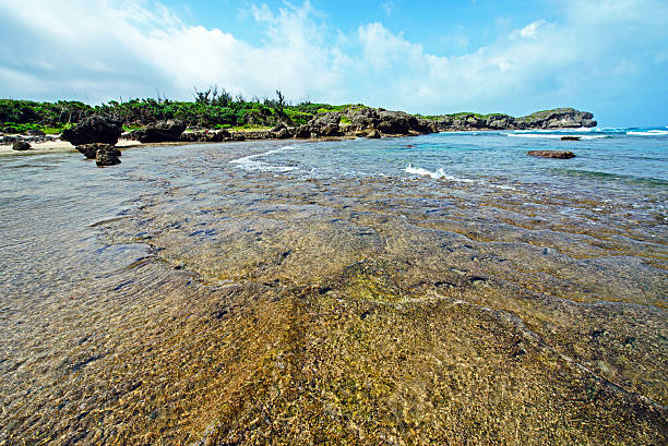istock The sparkling reef, Okinawa, Japan 481419692