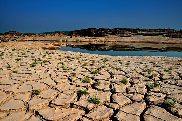 réchauffement de la planète - global warming cracked dirt earth photos et images de collection